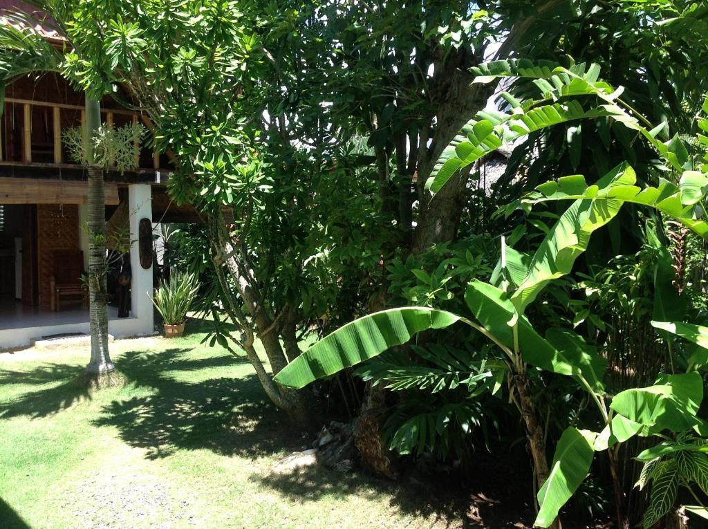 Alumbung Cottages Panglao Eksteriør billede
